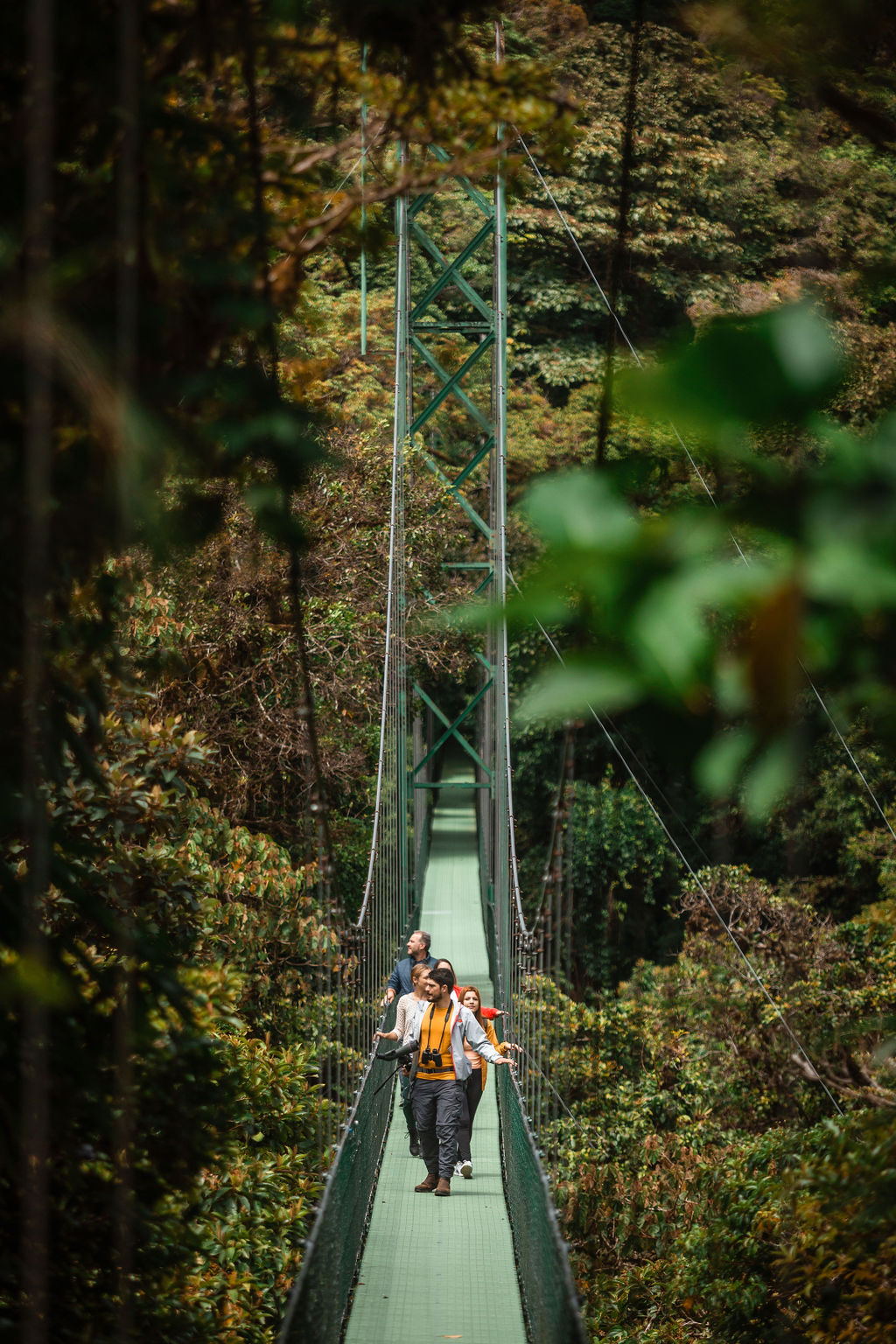 hanging-bridges_2.jpg